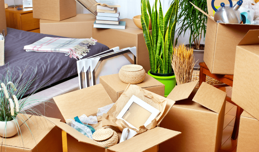 MOVE OUT CLEANING